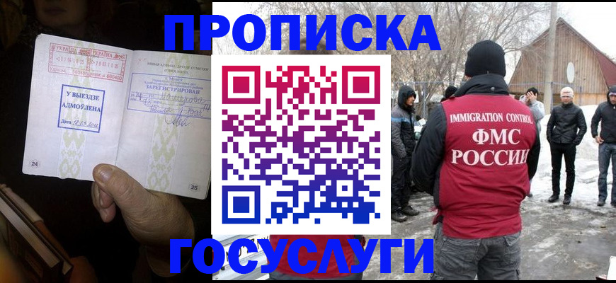 прописка поиск в Березниках